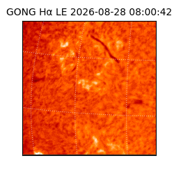 gong - 2026-08-28T08:00:42