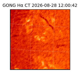 gong - 2026-08-28T12:00:42