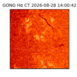 gong - 2026-08-28T14:00:42