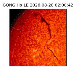 gong - 2026-08-28T02:00:42