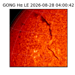 gong - 2026-08-28T04:00:42