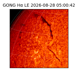 gong - 2026-08-28T05:00:42