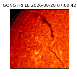 gong - 2026-08-28T07:00:42