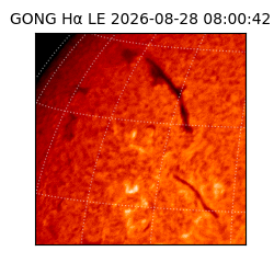 gong - 2026-08-28T08:00:42