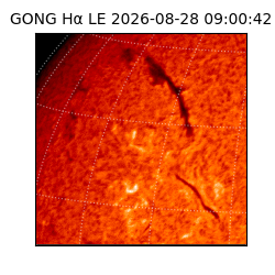 gong - 2026-08-28T09:00:42