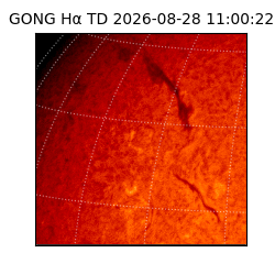 gong - 2026-08-28T11:00:22