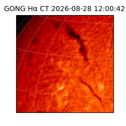 gong - 2026-08-28T12:00:42