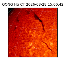gong - 2026-08-28T15:00:42