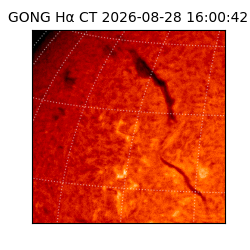 gong - 2026-08-28T16:00:42