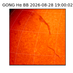 gong - 2026-08-28T19:00:02
