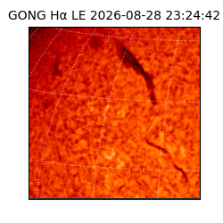 gong - 2026-08-28T23:24:42