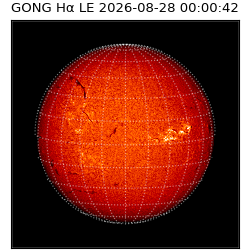 gong - 2026-08-28T00:00:42
