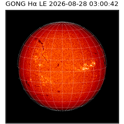 gong - 2026-08-28T03:00:42