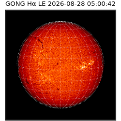 gong - 2026-08-28T05:00:42