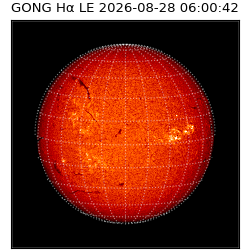gong - 2026-08-28T06:00:42