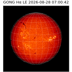 gong - 2026-08-28T07:00:42