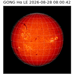gong - 2026-08-28T08:00:42