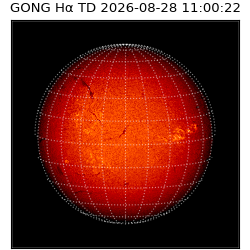 gong - 2026-08-28T11:00:22