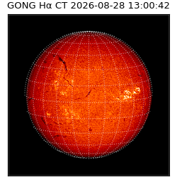 gong - 2026-08-28T13:00:42