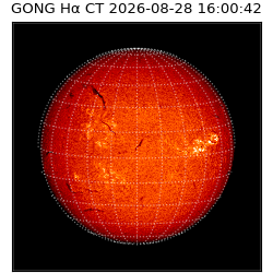 gong - 2026-08-28T16:00:42