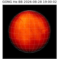 gong - 2026-08-28T19:00:02
