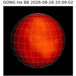 gong - 2026-08-28T20:09:02