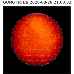 gong - 2026-08-28T21:00:02
