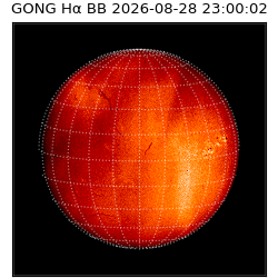 gong - 2026-08-28T23:00:02