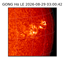 gong - 2026-08-29T03:00:42