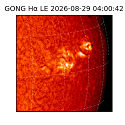 gong - 2026-08-29T04:00:42