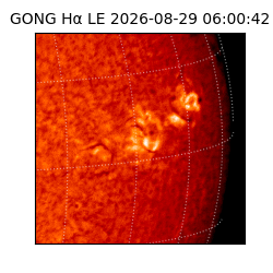 gong - 2026-08-29T06:00:42