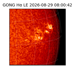 gong - 2026-08-29T08:00:42