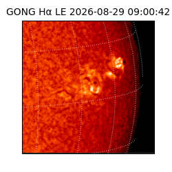 gong - 2026-08-29T09:00:42