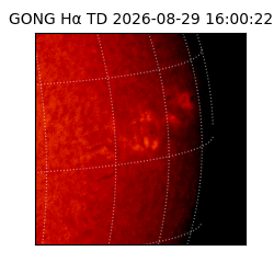 gong - 2026-08-29T16:00:22