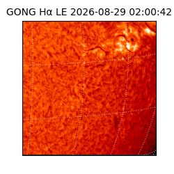 gong - 2026-08-29T02:00:42