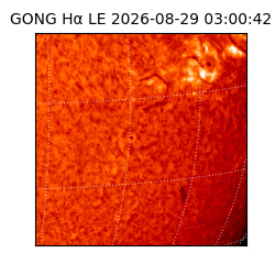 gong - 2026-08-29T03:00:42