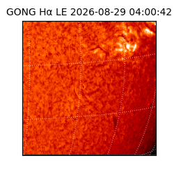 gong - 2026-08-29T04:00:42
