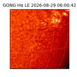 gong - 2026-08-29T06:00:42