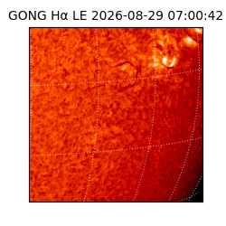 gong - 2026-08-29T07:00:42