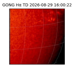 gong - 2026-08-29T16:00:22