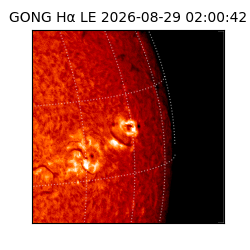 gong - 2026-08-29T02:00:42