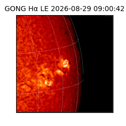 gong - 2026-08-29T09:00:42