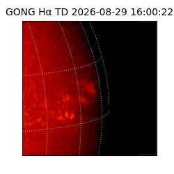gong - 2026-08-29T16:00:22