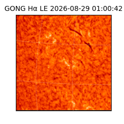 gong - 2026-08-29T01:00:42