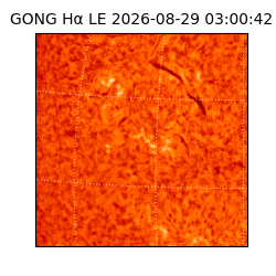gong - 2026-08-29T03:00:42