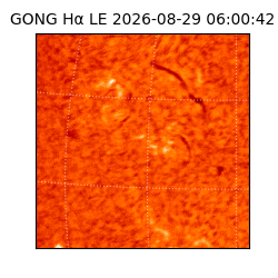 gong - 2026-08-29T06:00:42