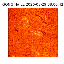 gong - 2026-08-29T08:00:42
