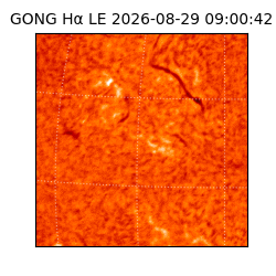gong - 2026-08-29T09:00:42