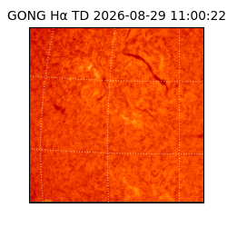 gong - 2026-08-29T11:00:22
