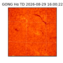 gong - 2026-08-29T16:00:22
